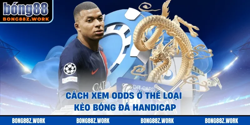 Cách xem ODDS ở thể loại kèo bóng đá handicap