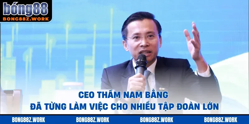CEO Thẩm Nam Bằng đã từng làm việc cho nhiều tập đoàn lớn