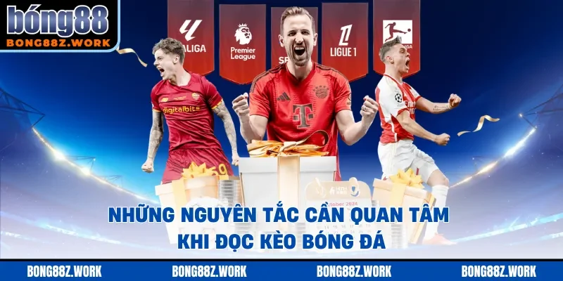 Những nguyên tắc cần quan tâm khi đọc kèo bóng đá