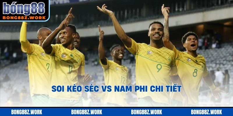 Soi kèo trận đấu Séc vs Nam Phi - WC 2026 chi tiết