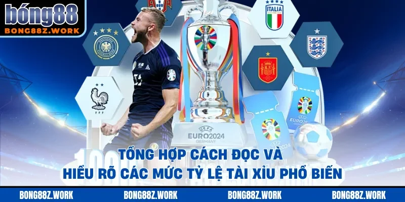 Tổng hợp cách đọc và hiểu rõ các mức tỷ lệ Tài Xỉu phổ biến